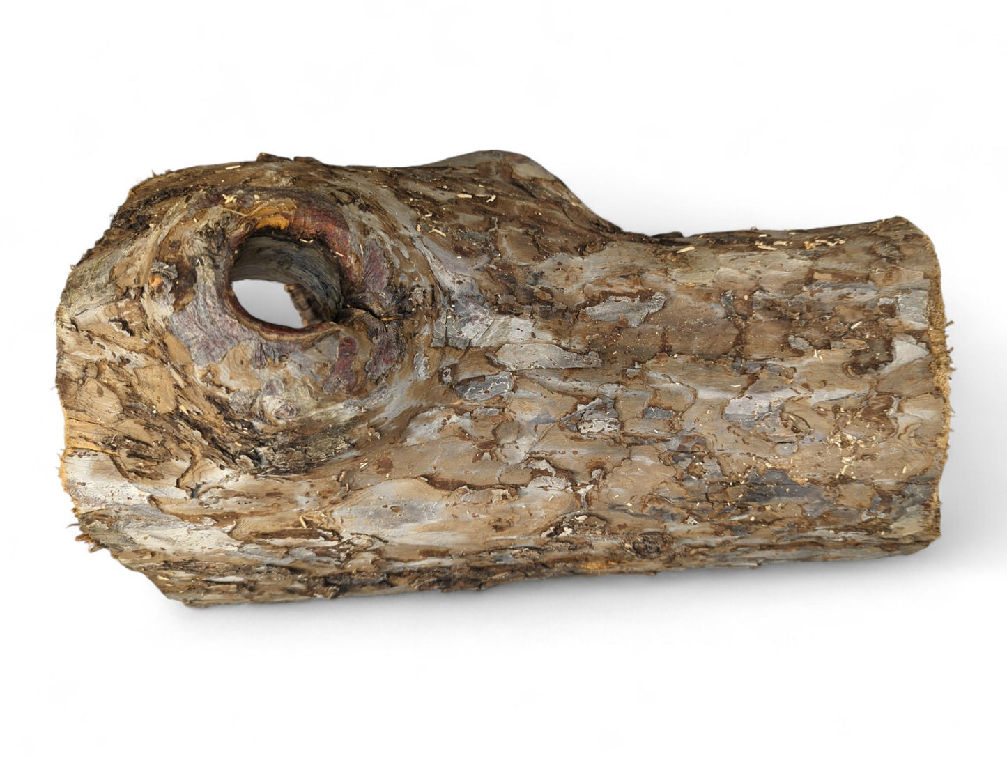 Hollow natural wood log, untreated, with rough, mottled bark and a smooth, pale inner opening.