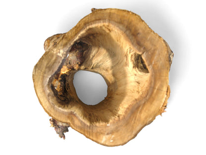 Light brown, irregularly shaped wood log cross-section revealing a central hollow tunnel and visible grain.