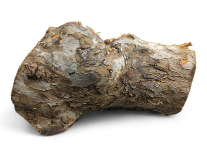 A naturally curved wood piece featuring rough, textured bark with mottled grey, brown, and darker peeling layers.