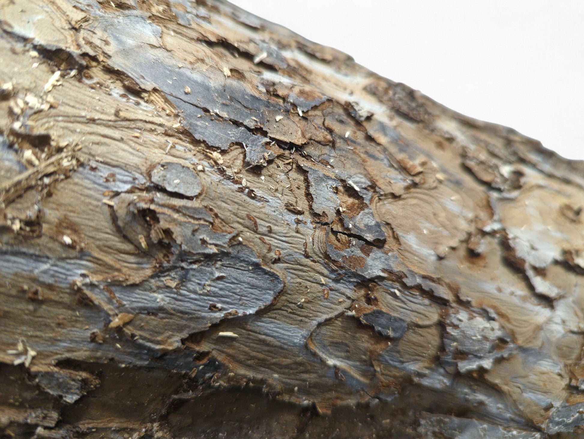 Close-up of rough, natural wood bark, showing peeling layers of grey, brown, and darker tones.