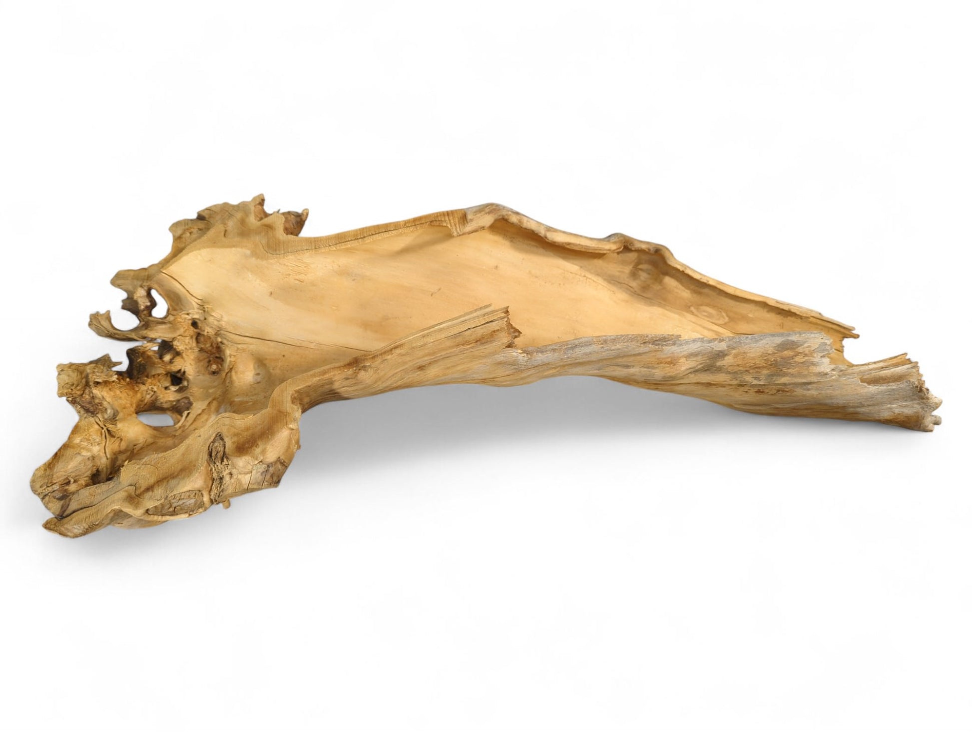 Elongated, light brown hollow wood fragment, gnarled with natural textures and an organic, weathered form.