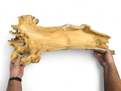 Gnarled, light brown hollow wood shell, held by two hands, features intricate organic textures and holes.