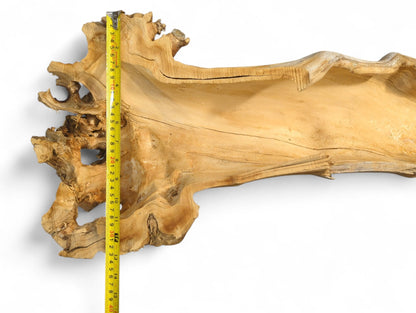 Natural light brown hollow wood, irregularly shaped, with rough textures and a yellow measuring tape.