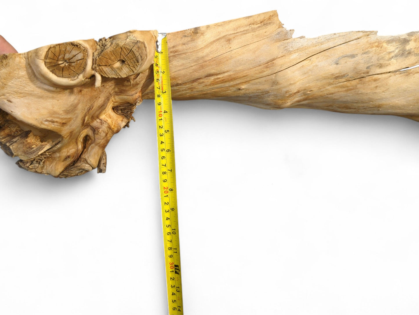 Roughly textured light brown wood piece, gnarled and irregularly shaped, with a yellow tape indicating height.