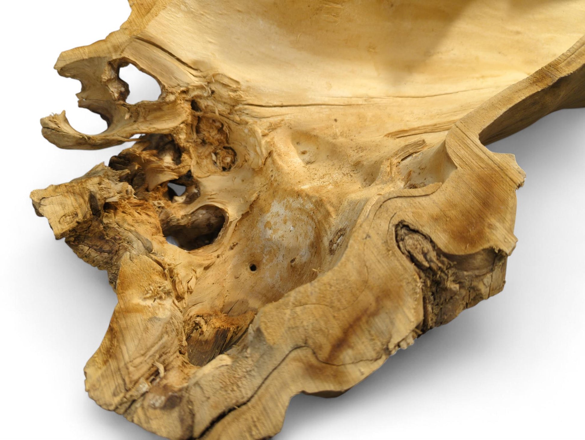 Textured light brown wood fragment, featuring a hollow, irregular shape with gnarled details and natural holes.