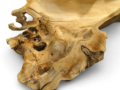 Textured light brown wood fragment, featuring a hollow, irregular shape with gnarled details and natural holes.