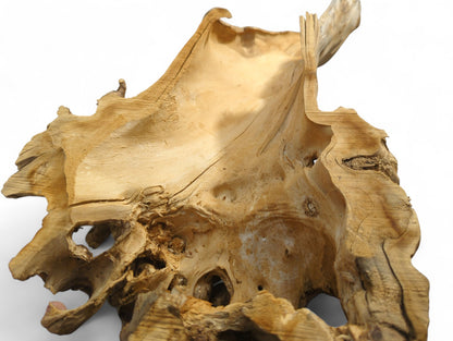 Untreated light brown wood piece, hollow and irregularly shaped, with rough textures, visible grain, and openings.