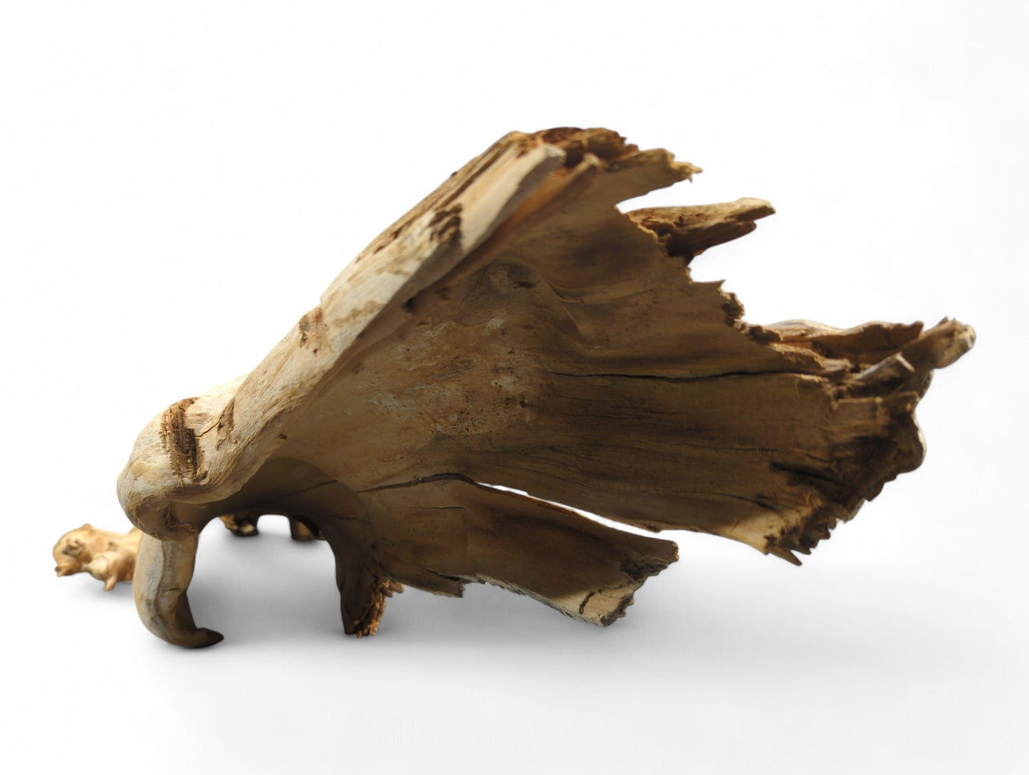 Hollow, light brown natural wood root shell displaying intricate gnarled textures and an irregular, weathered form.