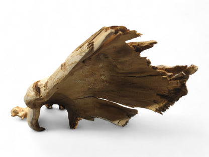 Hollow, light brown natural wood root shell displaying intricate gnarled textures and an irregular, weathered form.