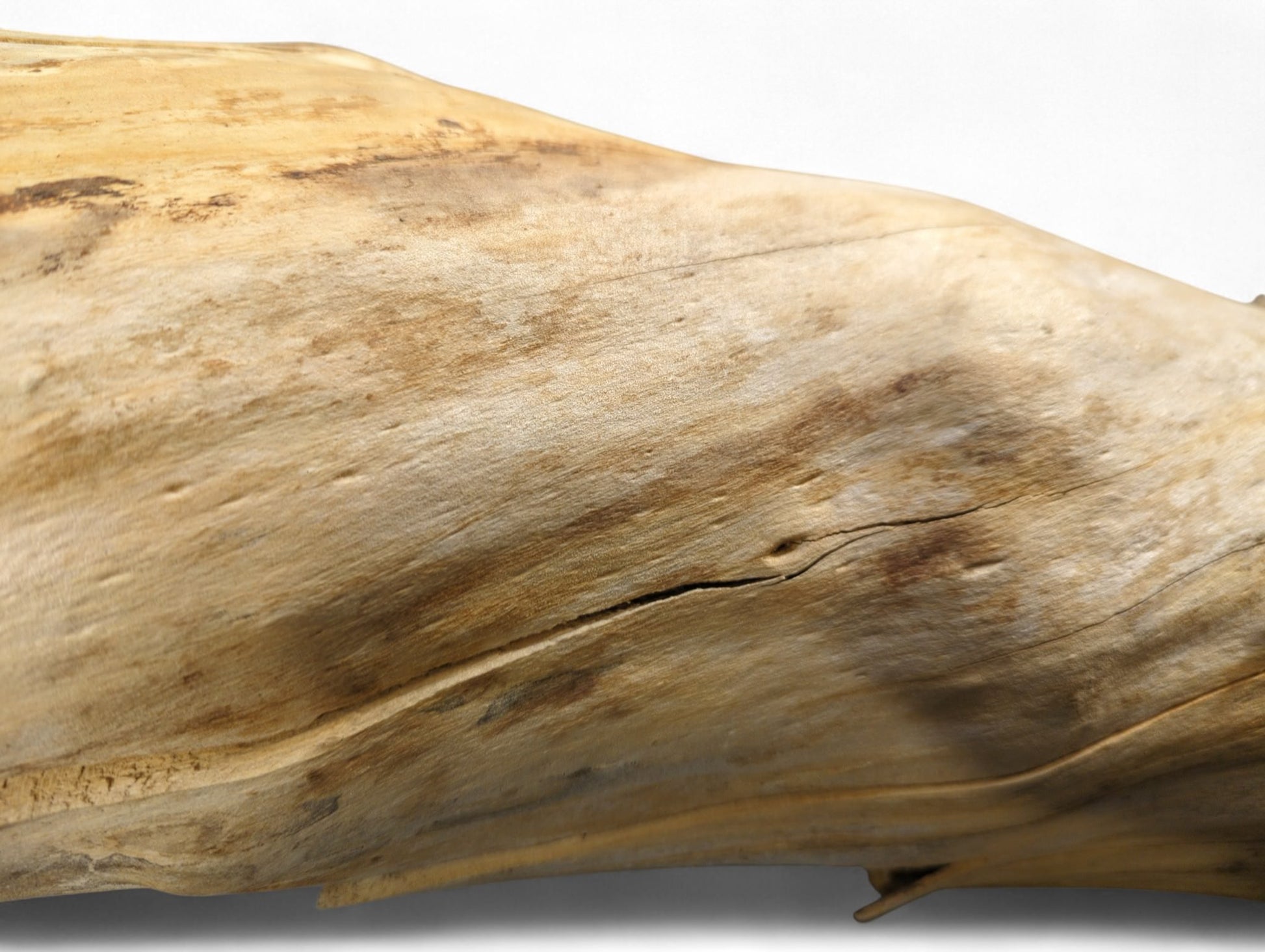 Curved light brown wood surface with visible grain, small indentations, dark streaks, and a deep crack.
