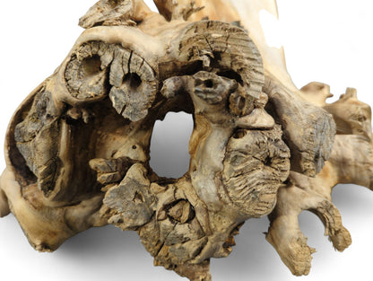 Organic light brown natural wood showing intricate gnarled textures, cracks, and a prominent central hole.