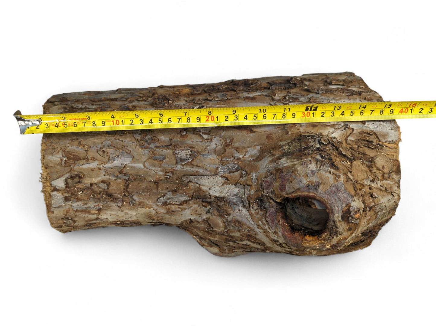 Untreated natural wood log with rough, mottled bark and hollow opening, measured by yellow tape.