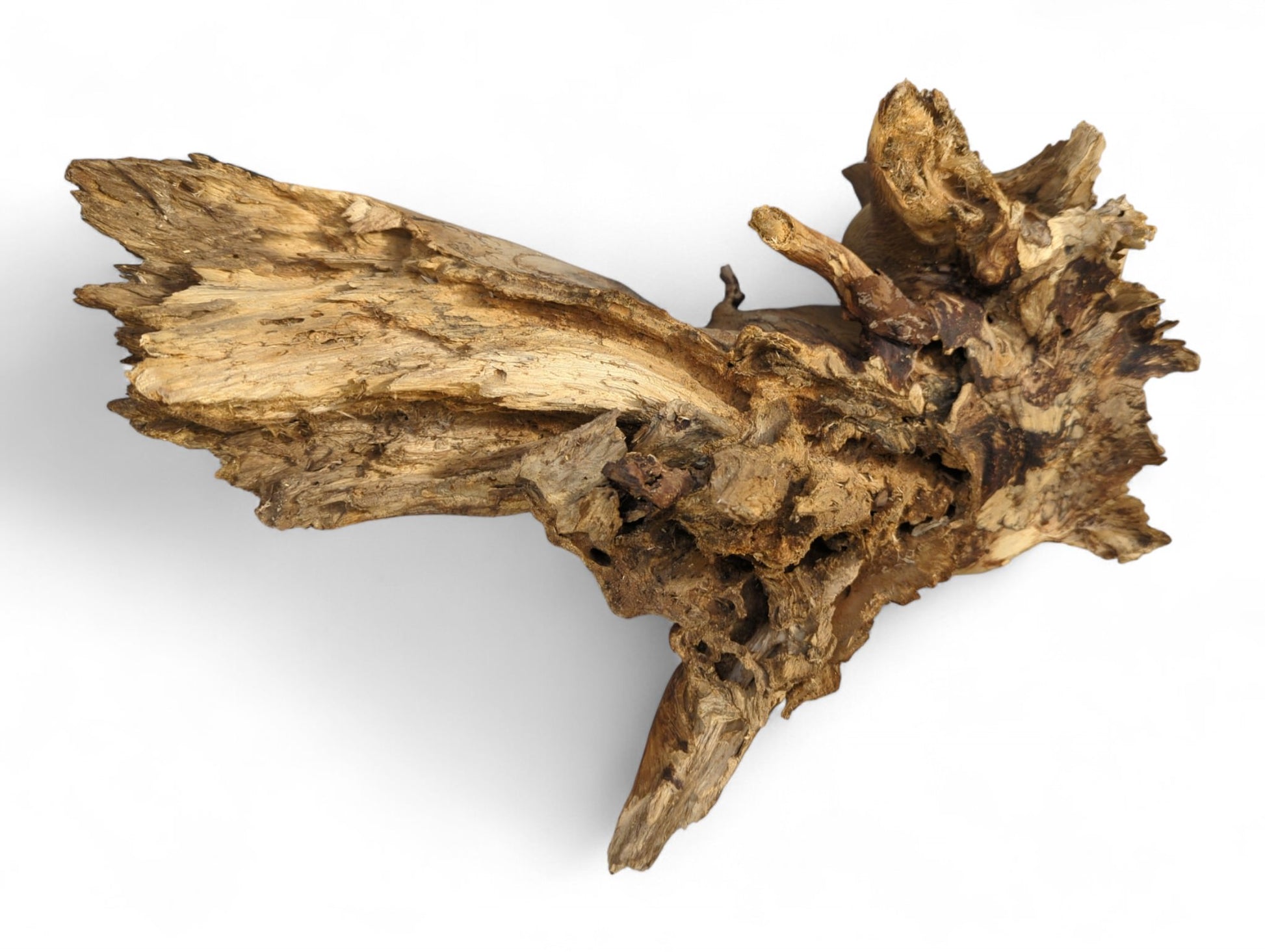 Rough, untreated, light brown organic wood, gnarled and weathered, with visible grain and numerous deep crevices.