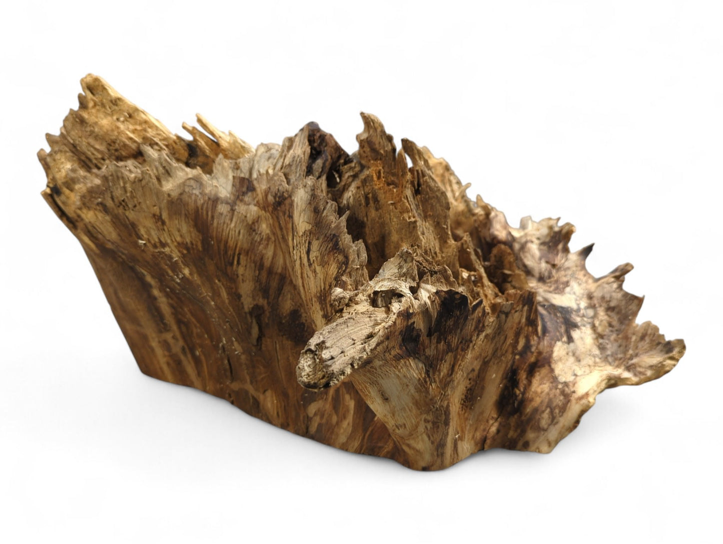 Weathered brown natural wood, deeply gnarled, with rough textures, visible grain, and irregular spiky edges.