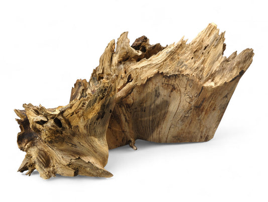 Jagged, natural light brown root wood or driftwood piece with rough, weathered texture and visible holes.