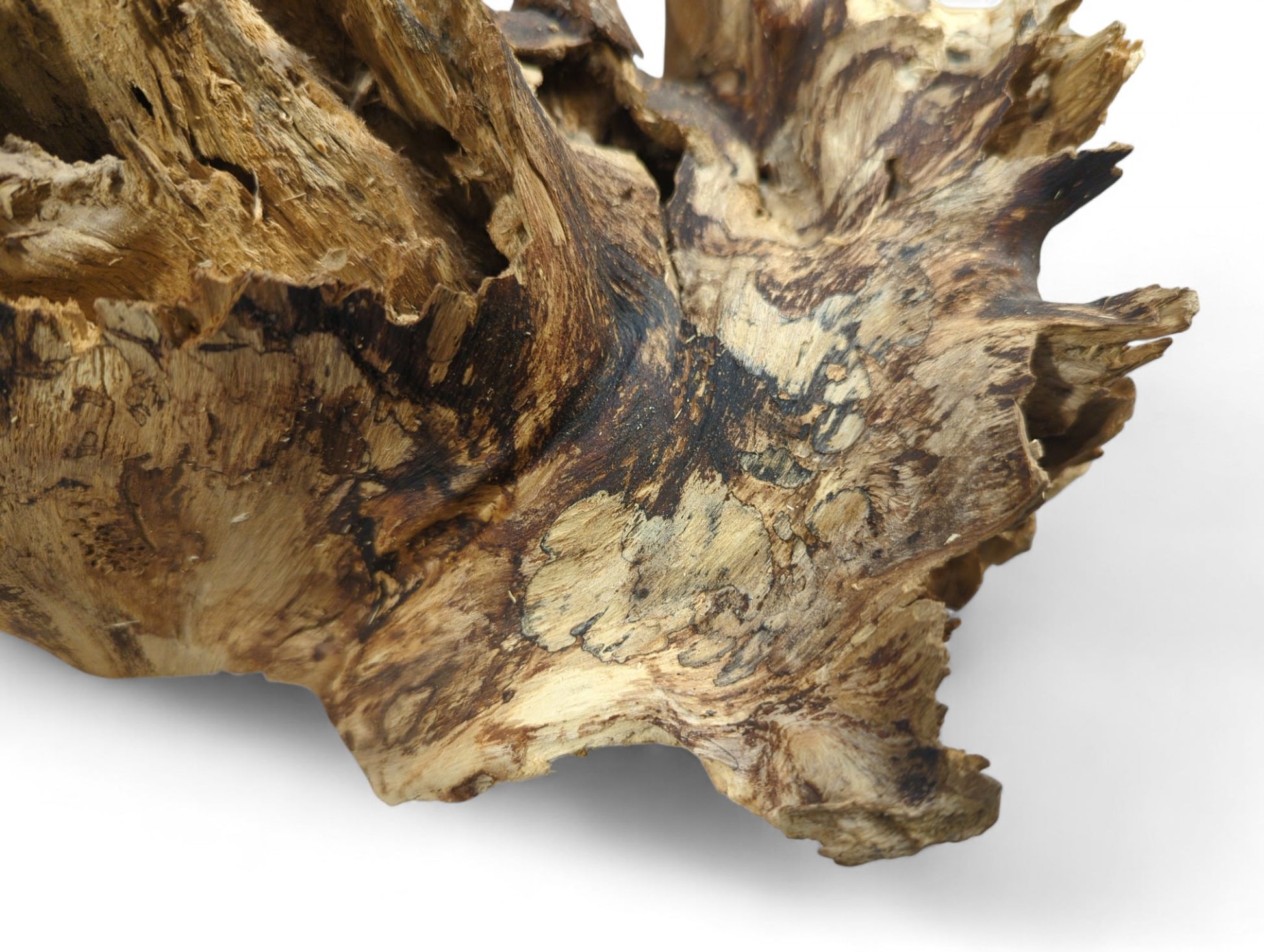 A piece of raw wood with intricate texture, deep grooves, swirling patterns, and varied brown tones.