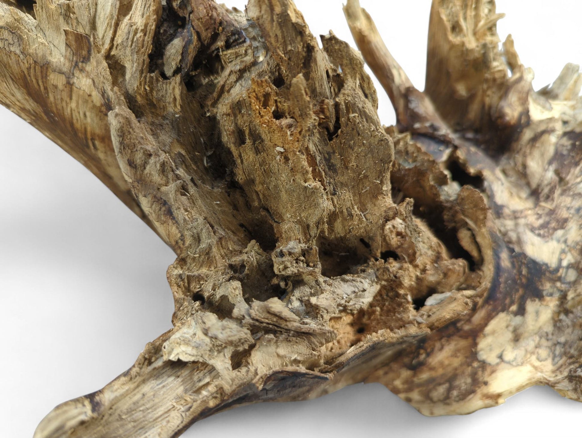 Natural wood fragment with fractured, fibrous surfaces, multiple deep holes, and a palette of brown tones.