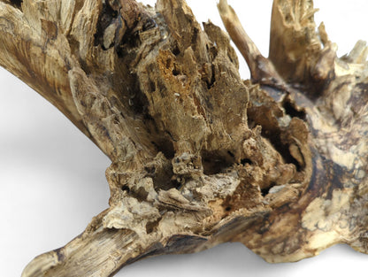 Natural wood fragment with fractured, fibrous surfaces, multiple deep holes, and a palette of brown tones.