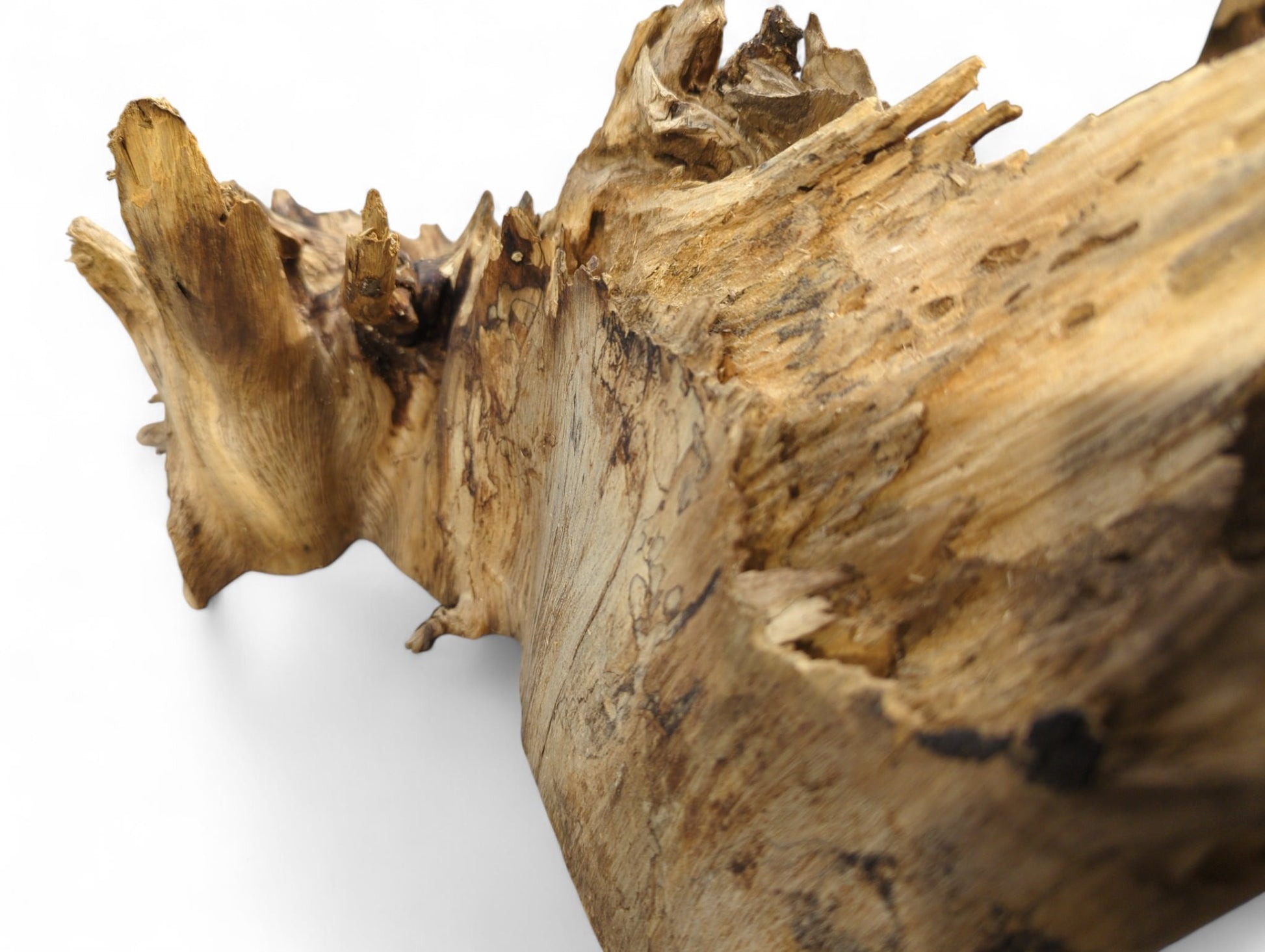 Irregularly shaped natural wood with light and dark brown tones, rough texture, and splintered edges.