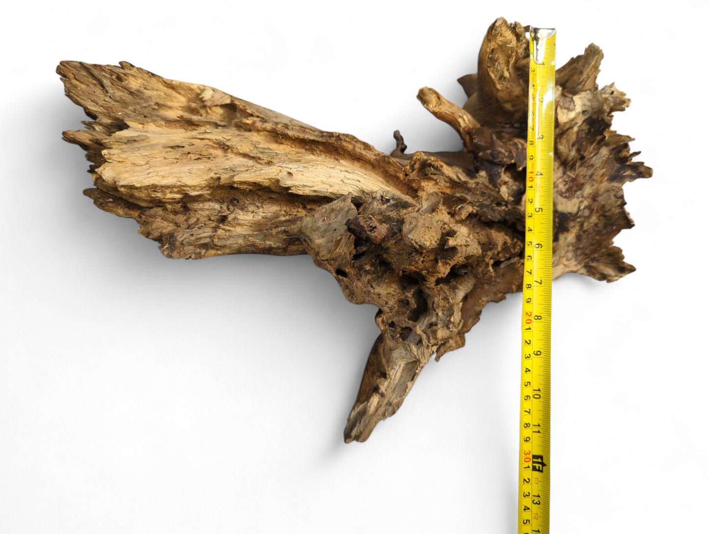 Textured wood fragment displaying jagged edges, deep holes, varying brown tones, and a yellow tape measure.