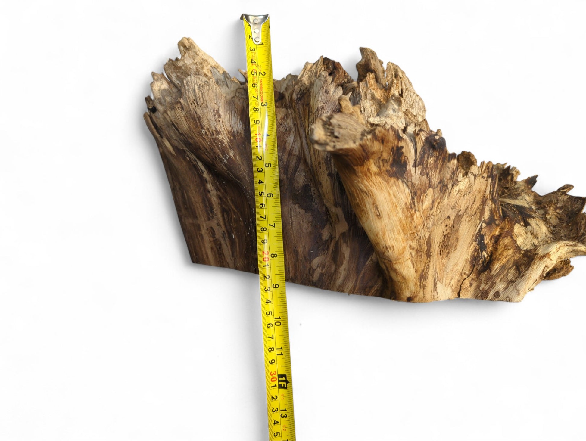 Untreated natural wood piece, dark and light brown with rough, jagged edges, and a yellow tape.