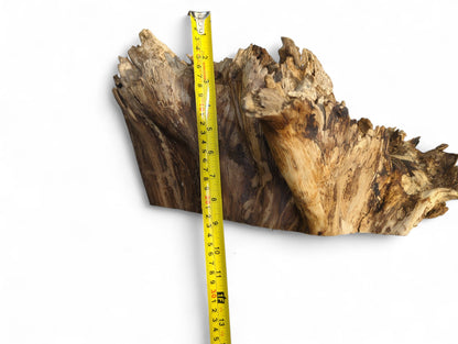 Untreated natural wood piece, dark and light brown with rough, jagged edges, and a yellow tape.