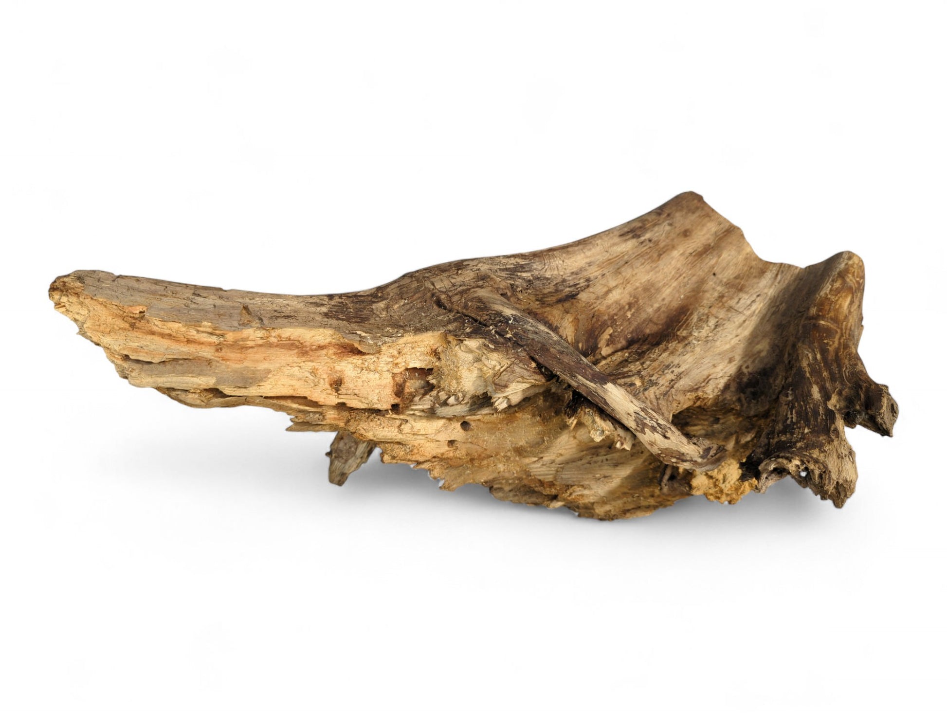 Distressed, naturally eroded root wood piece in varying light and dark brown tones, with rough, splintered texture.