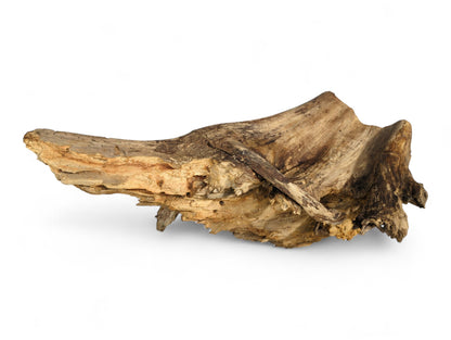 Distressed, naturally eroded root wood piece in varying light and dark brown tones, with rough, splintered texture.