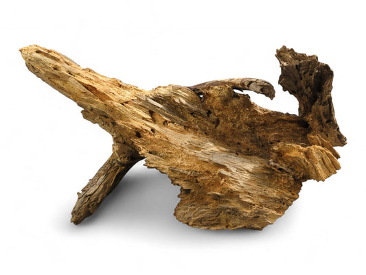 Weathered light brown natural wood, showing rough, fibrous textures, prominent grain, and irregular cavities.