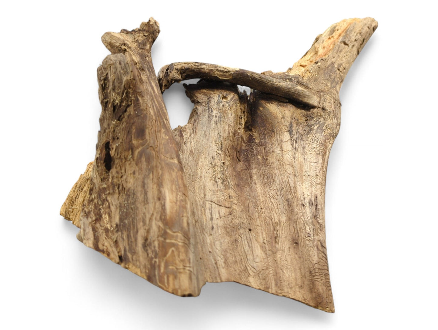 Untreated natural wood, irregular and eroded, displaying varying brown tones, rough texture, and insect trails.
