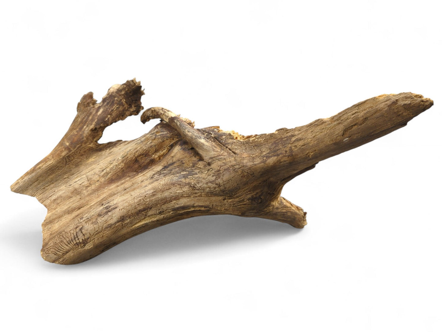 Eroded natural wood, light and dark brown, displaying rough texture, visible grain, and insect galleries.