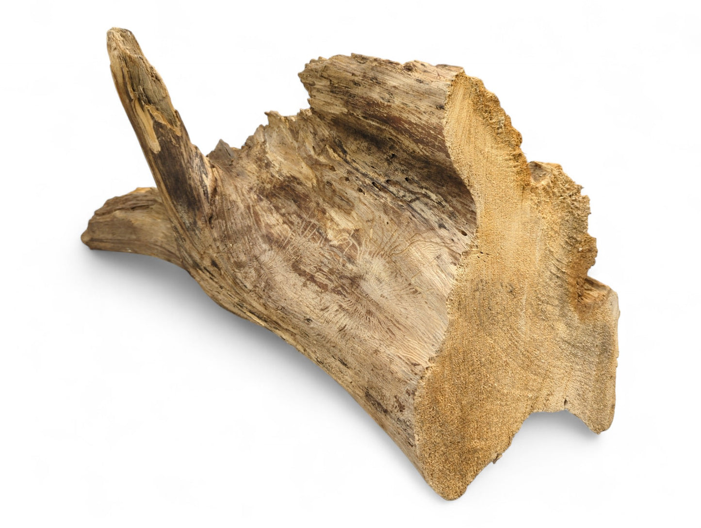 Distressed light brown natural wood, featuring a rough, fibrous texture, prominent grain, and an irregular cut end.