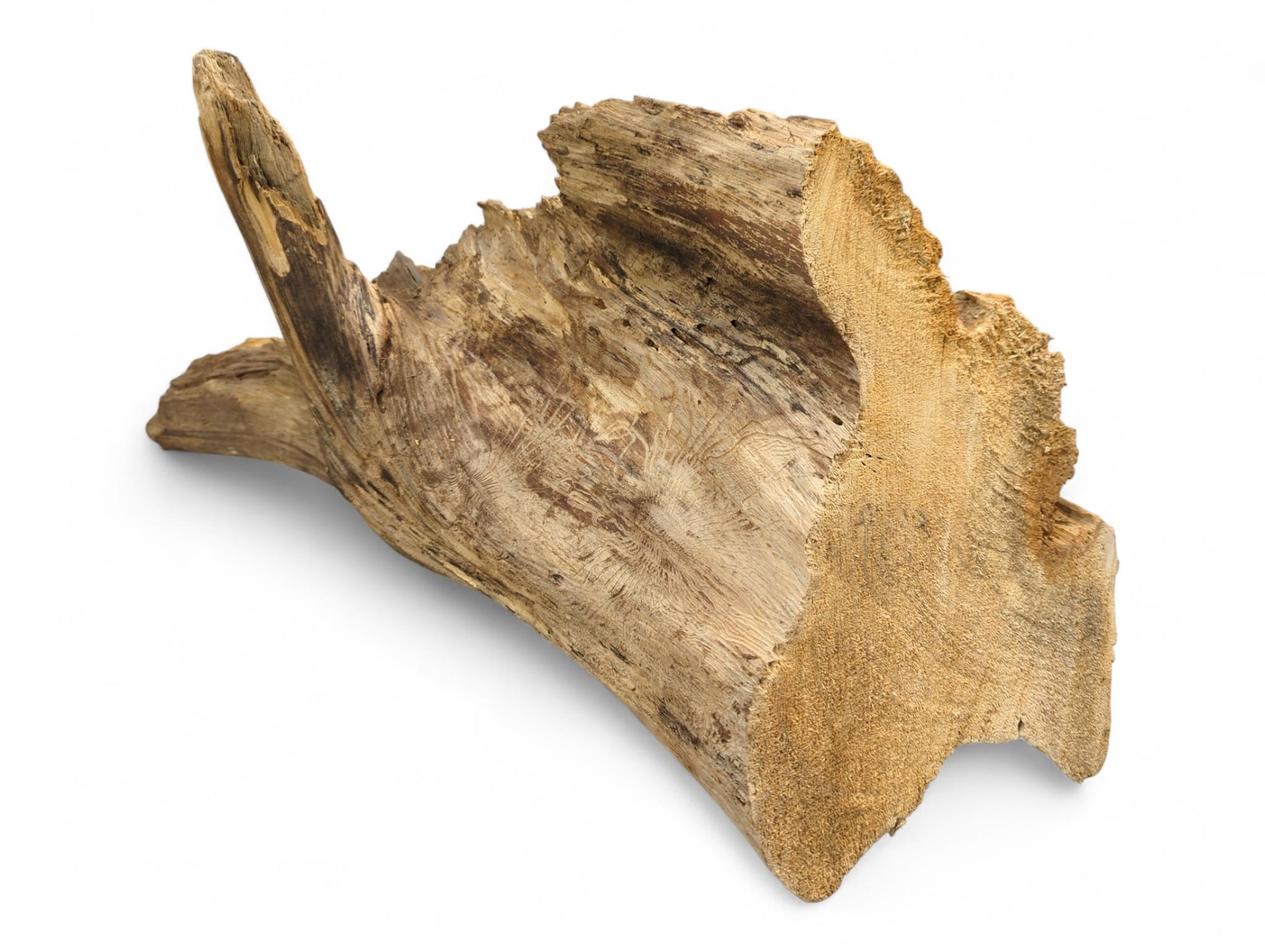 Distressed light brown natural wood, featuring a rough, fibrous texture, prominent grain, and an irregular cut end.