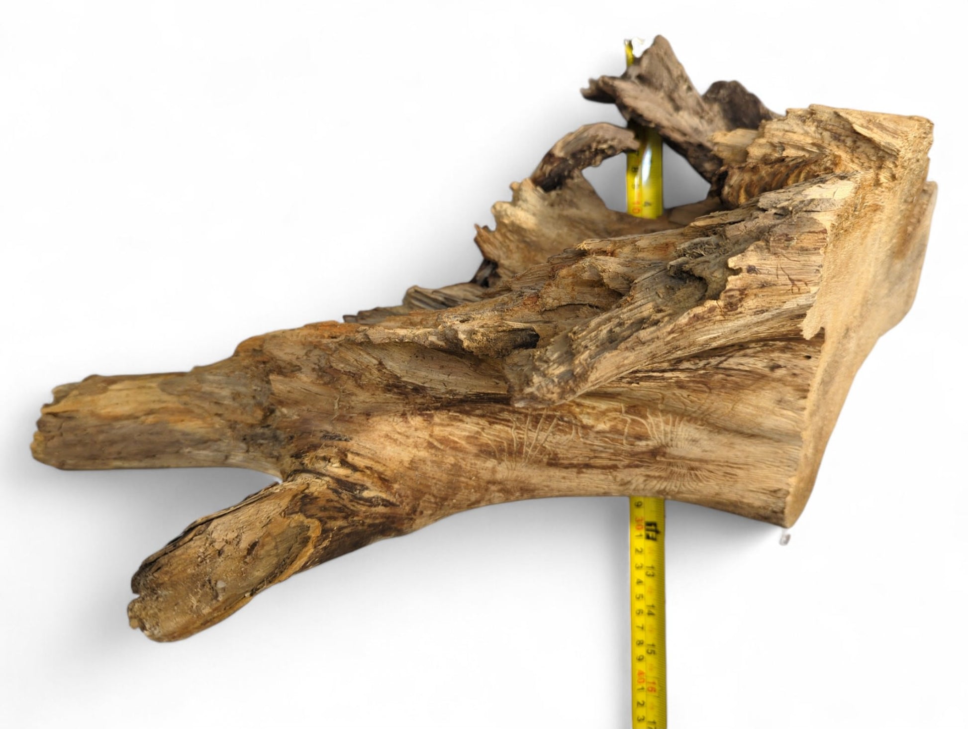 Irregularly shaped natural root wood piece, varied brown tones, rough texture, visible grain, with yellow measuring tape.