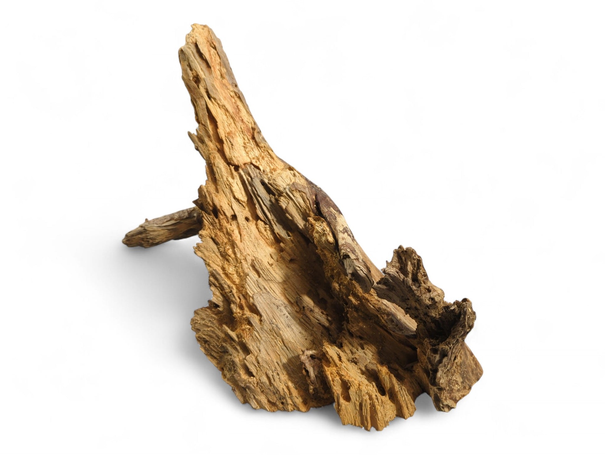 A deeply eroded, natural wood piece, featuring rustic brown tones, prominent grain, and deep crevices.