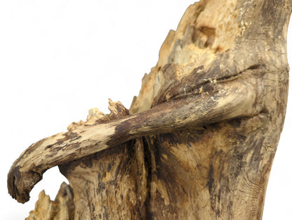 Untreated, eroded natural root wood displaying varying brown tones, rough texture, prominent grain, and an arm-like protrusion.