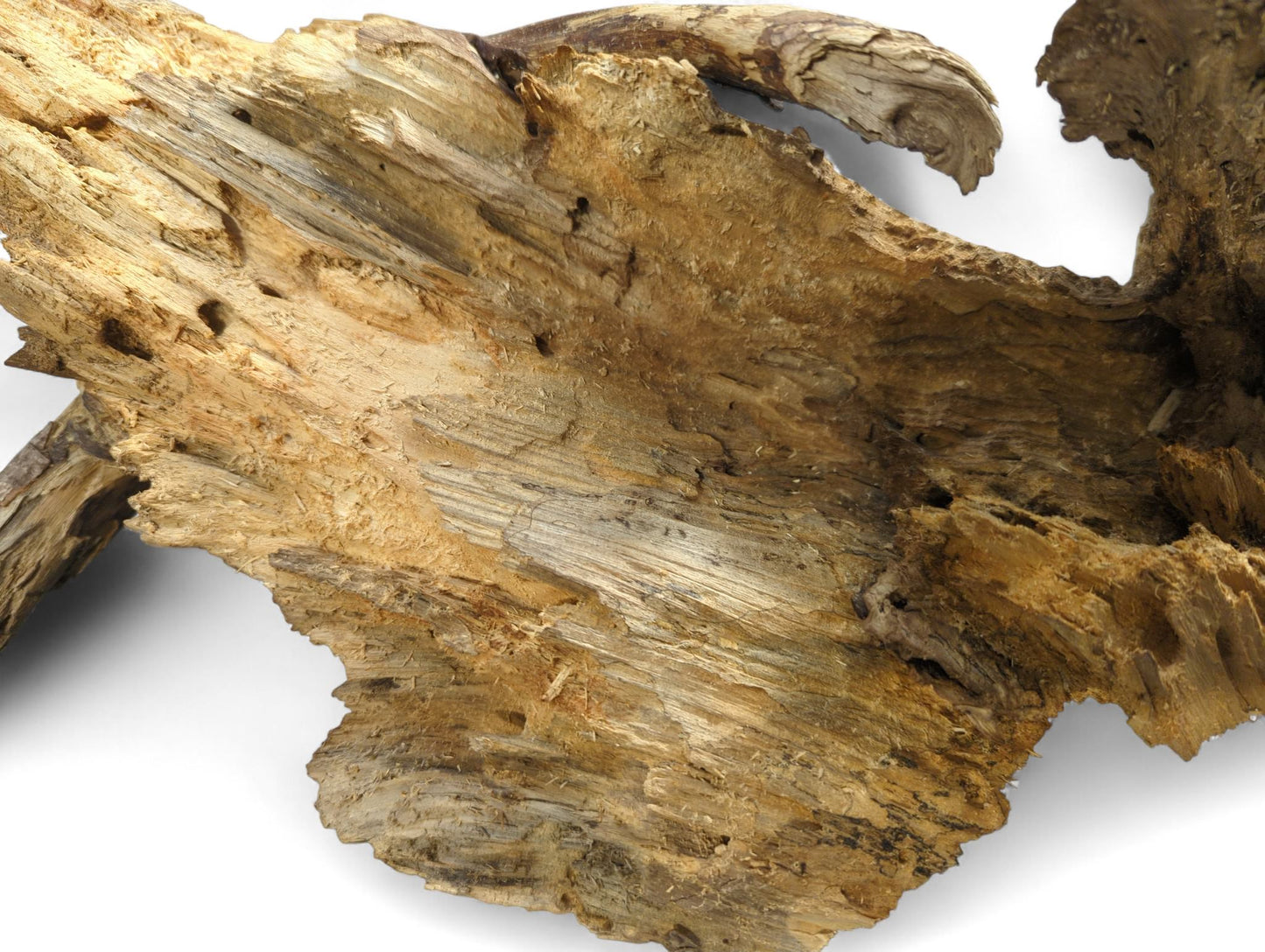 Irregularly shaped natural wood, deeply eroded, showing rough, splintered texture, various brown tones, and visible grain.