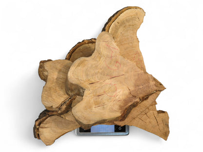 Irregular cherry wood root slices, light brown, with bark edges, grain, and cracks, stacked on a digital scale.