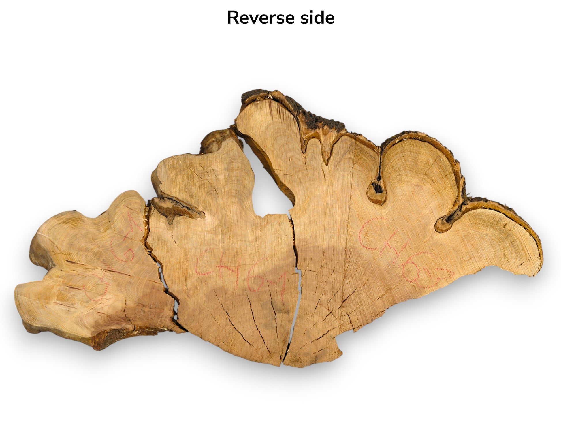 Irregular light brown cherry wood slice shows distinct grain, dark bark, radial cracks, and red numbering.