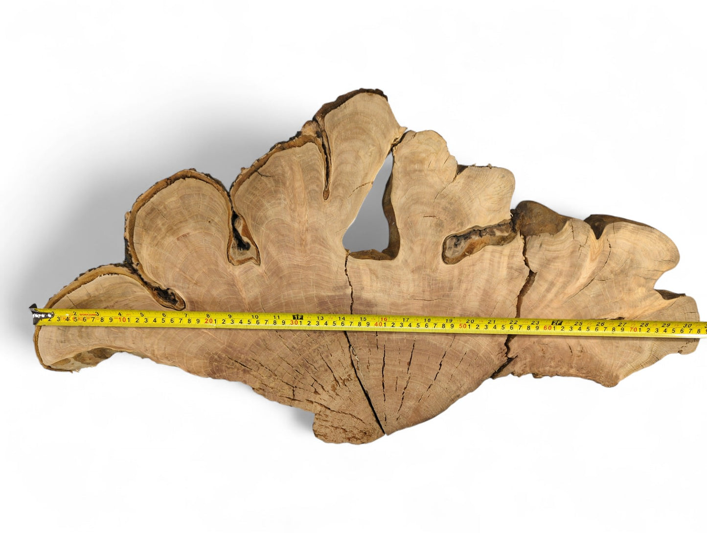 A golden-brown cherry wood slice, irregular, displays grain, bark, cracks, and a yellow measuring tape.