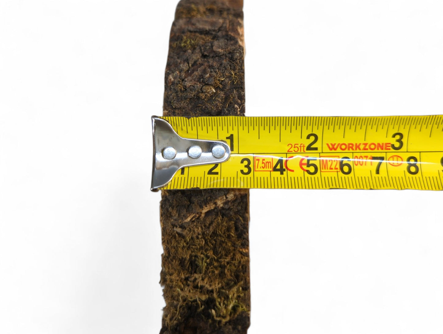 Thick, dark brown wood bark edge measured by a yellow tape measure, displaying a rough, textured surface.