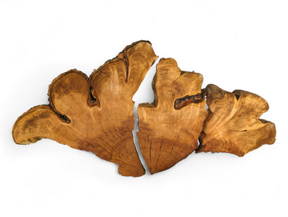 Three distinct, untreated wild cherry root wood slices with live bark edges and prominent wood grain.