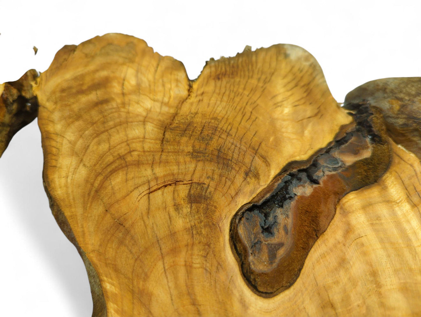 Golden-brown irregular cherry wood slice displays detailed annular rings and a prominent dark bark inclusion.