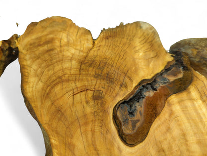 Golden-brown irregular cherry wood slice displays detailed annular rings and a prominent dark bark inclusion.