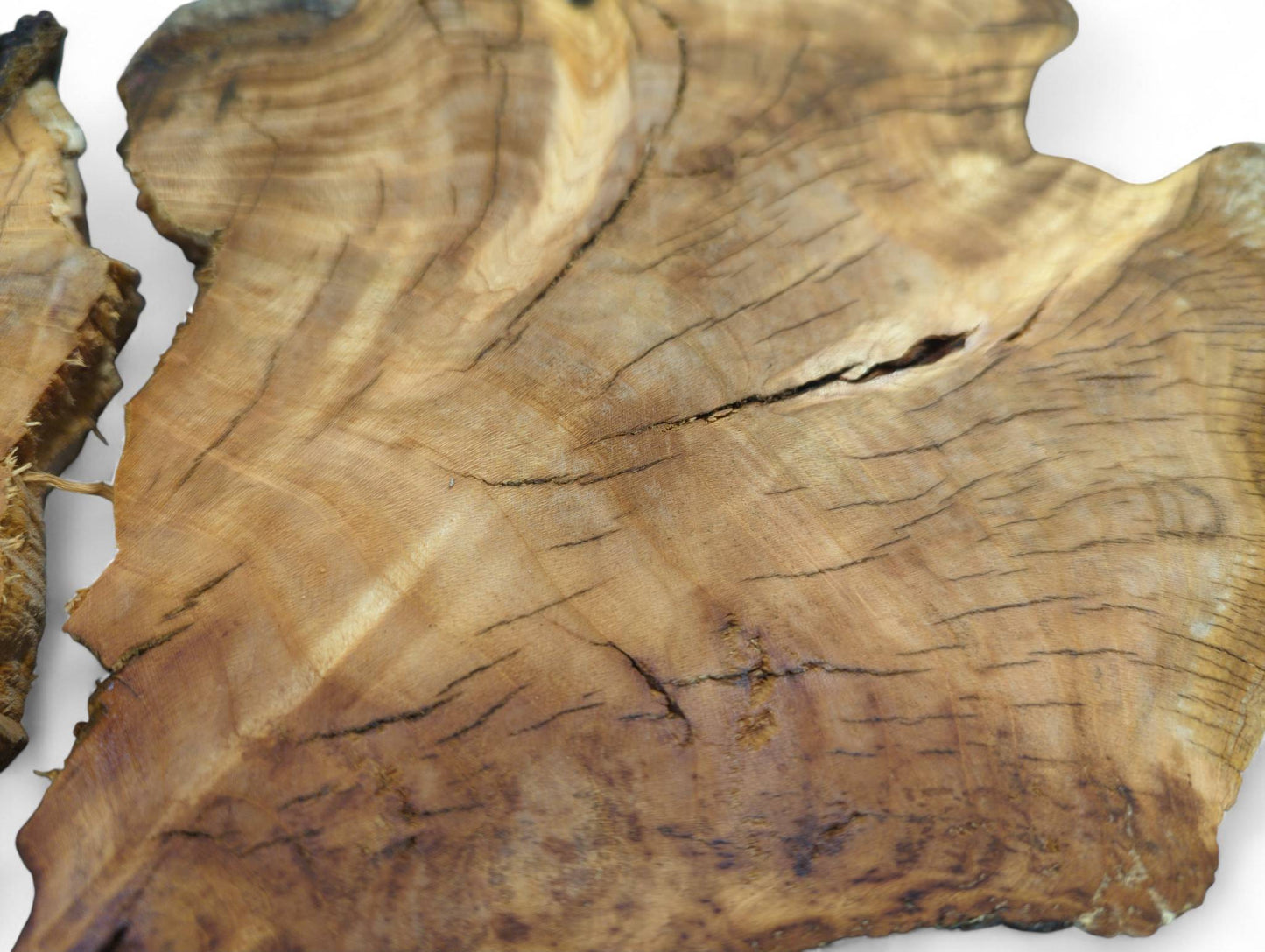 Irregular golden-brown cherry wood slice, split, displays intricate grain patterns, annular rings, and natural cracks.