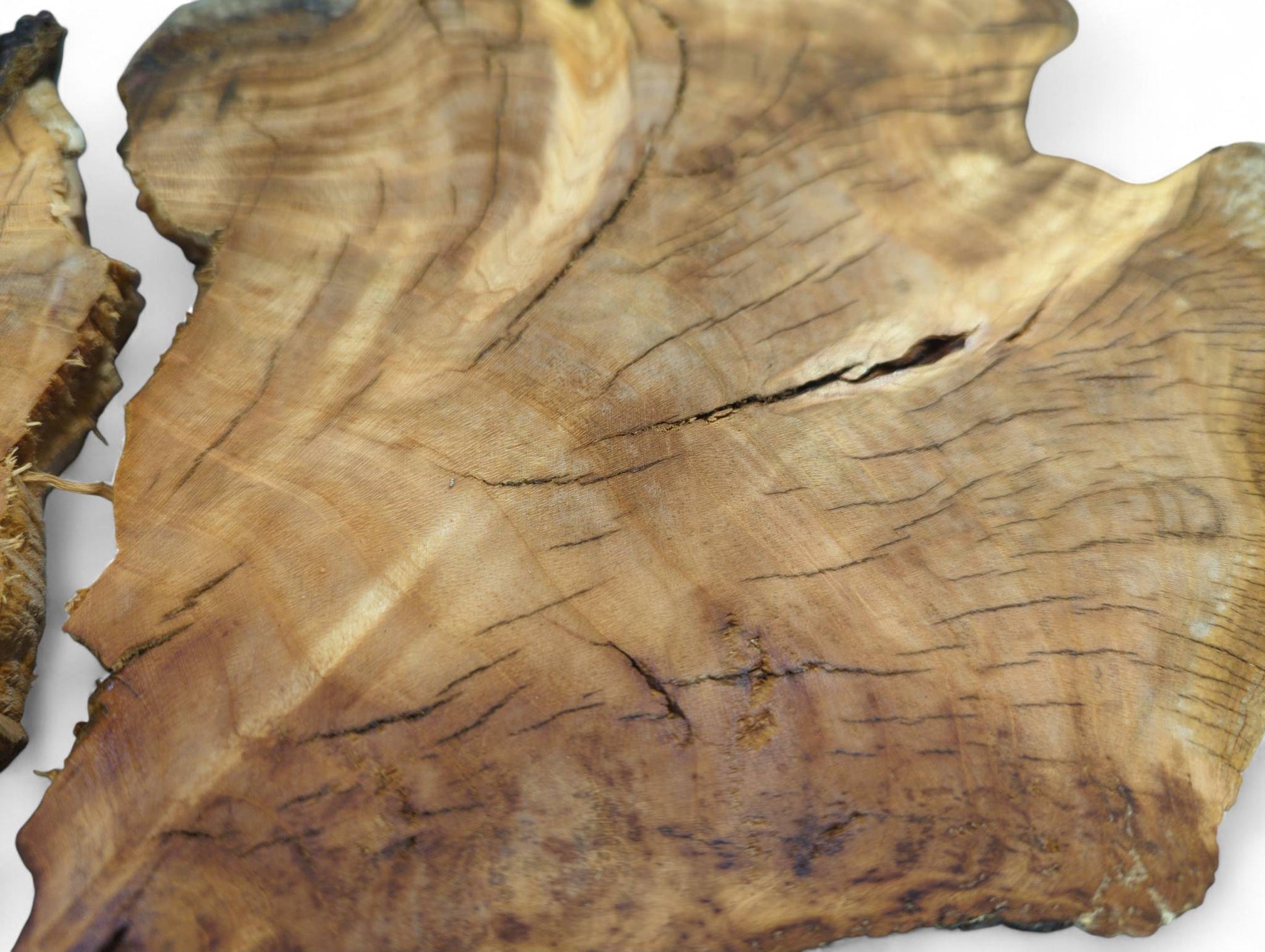 Irregular golden-brown cherry wood slice, split, displays intricate grain patterns, annular rings, and natural cracks.