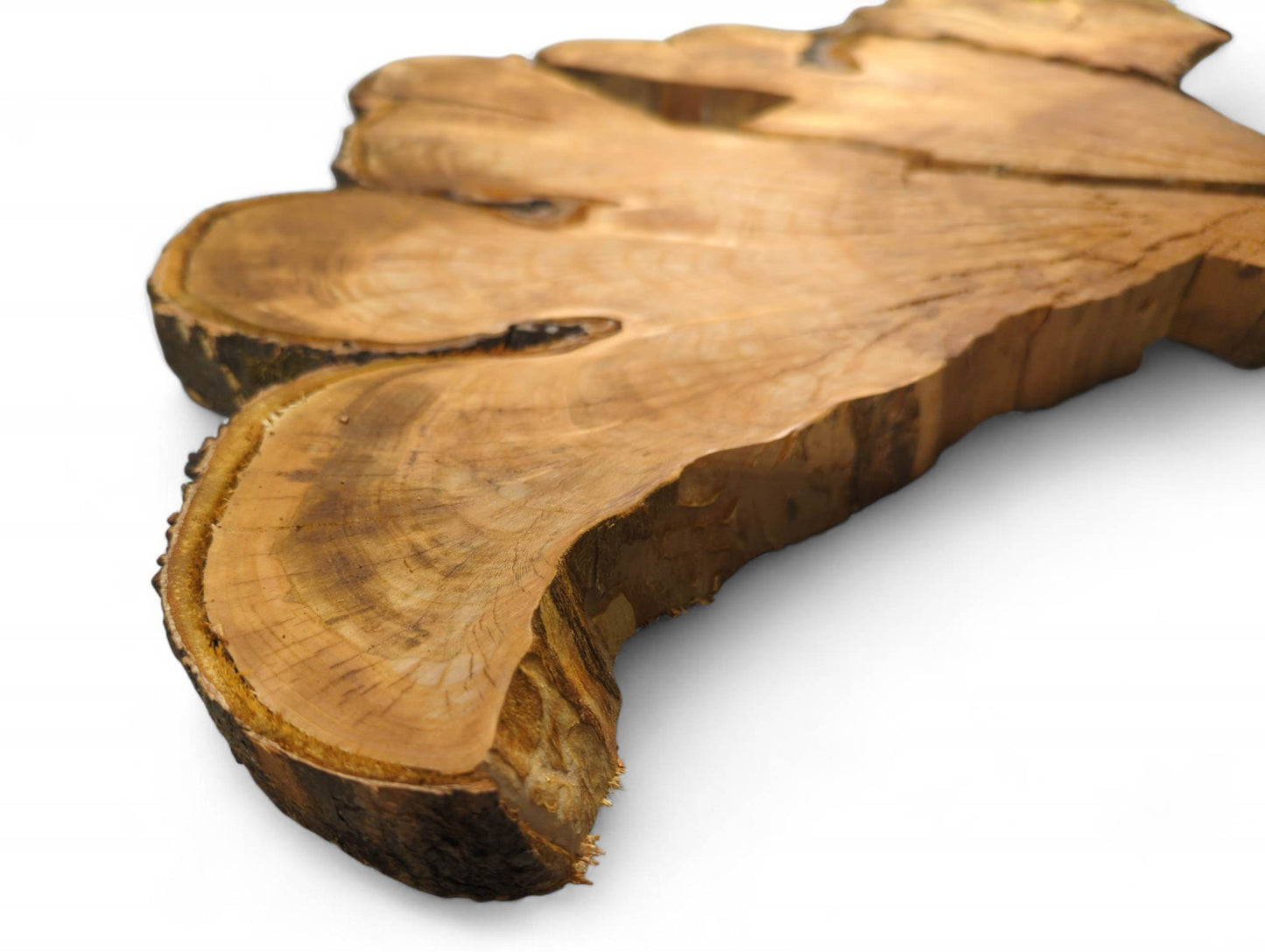 One golden-brown cherry root slice, planed and sanded, with live edge bark and fine cracks.