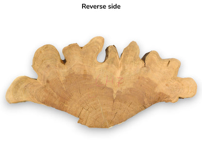 Reverse side of an irregularly shaped light brown wood slice with growth rings, cracks, and red marks.