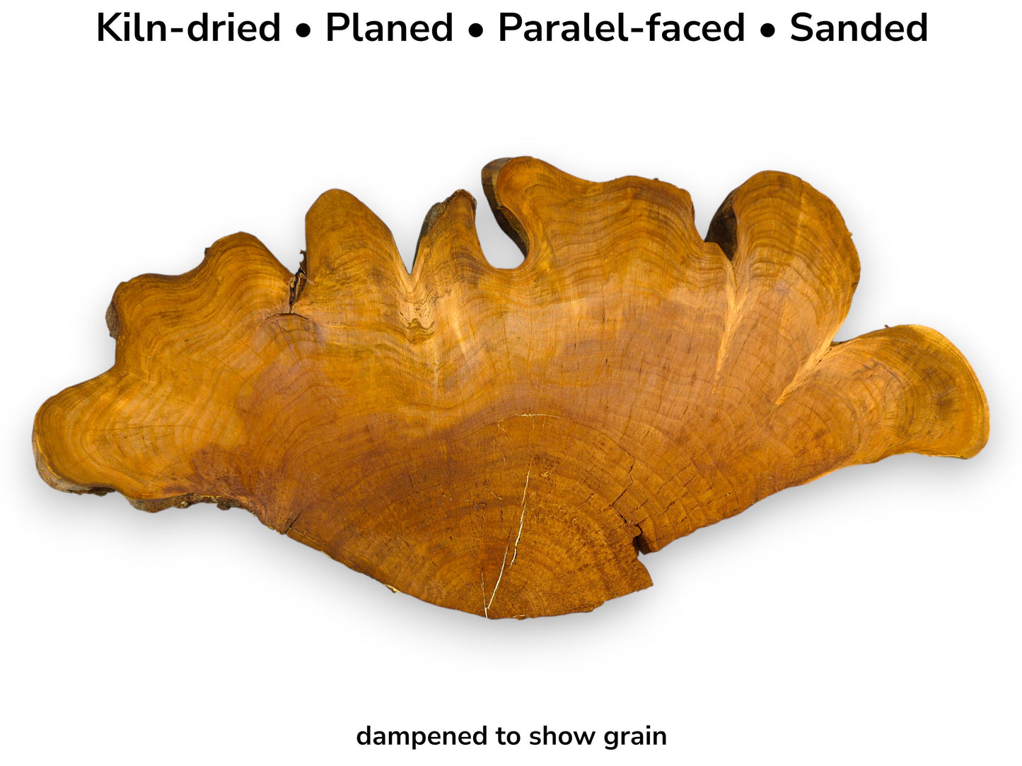 Irregular, reddish-brown wild cherry root slice displaying distinct grain. Text: Kiln-dried, Planed, Parallel-faced, Sanded, dampened.