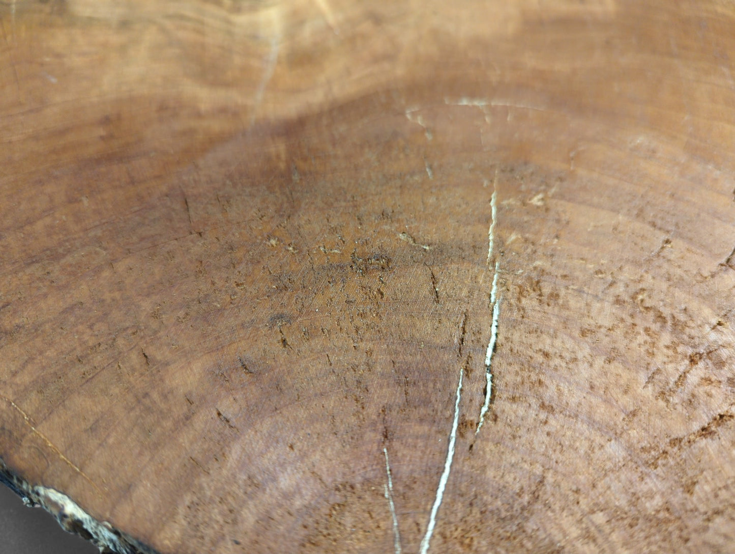 Surface of a light brown wild cherry root slice showing distinct growth rings, rough texture, and prominent cracks.